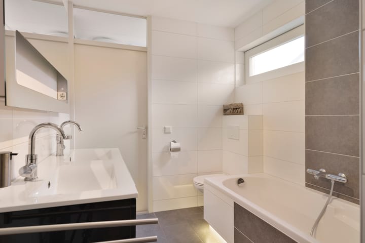 Foto 25 van Zilverplevier 3