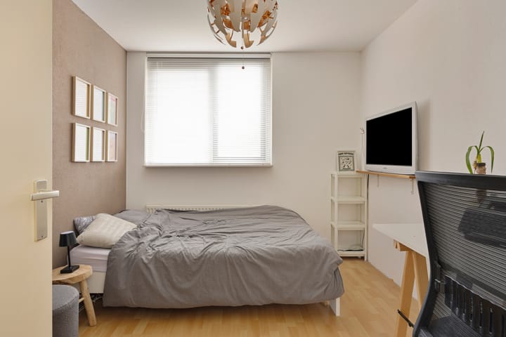 Foto 28 van Zilverplevier 3