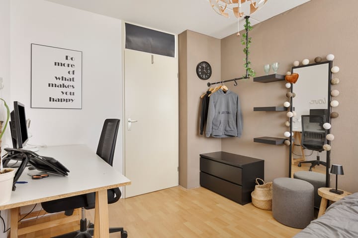 Foto 29 van Zilverplevier 3