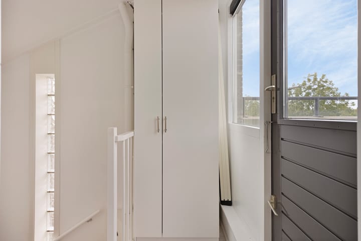 Foto 30 van Zilverplevier 3