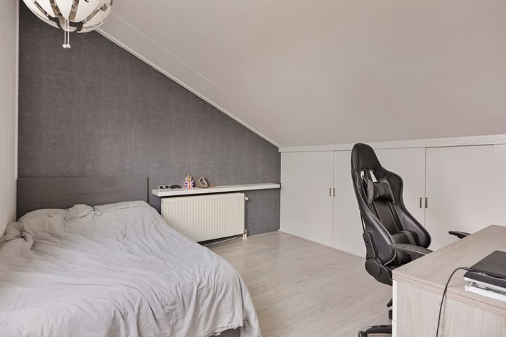 Foto 31 van Zilverplevier 3