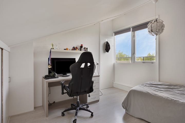 Foto 32 van Zilverplevier 3