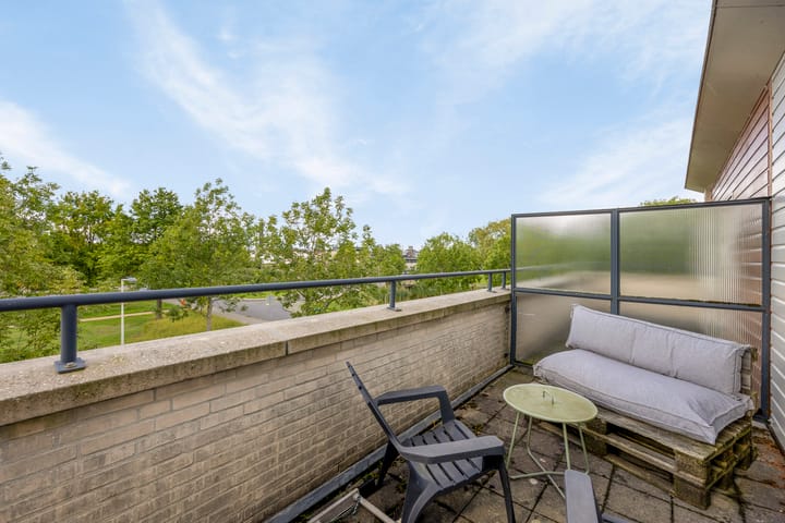 Foto 33 van Zilverplevier 3