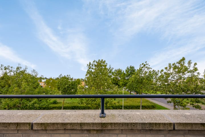 Foto 34 van Zilverplevier 3