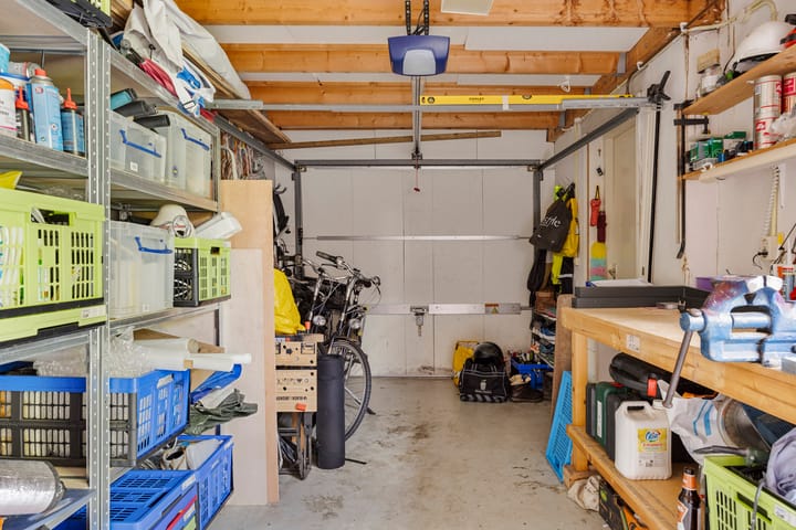 Foto 35 van Zilverplevier 3