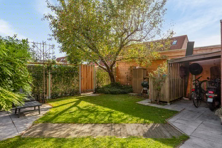 Foto 38 van Zilverplevier 3