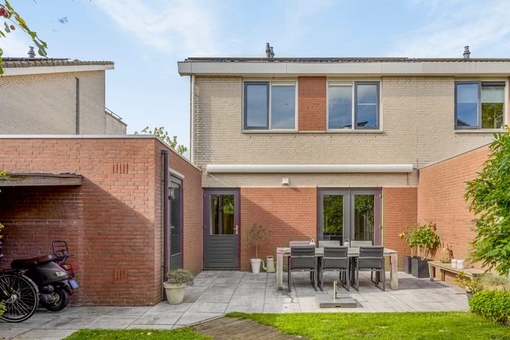 Foto 39 van Zilverplevier 3