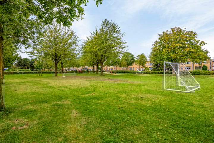 Foto 40 van Zilverplevier 3