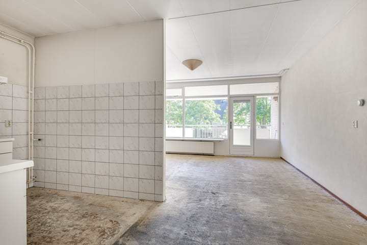 Foto 12 van Het Wielemakersland 38