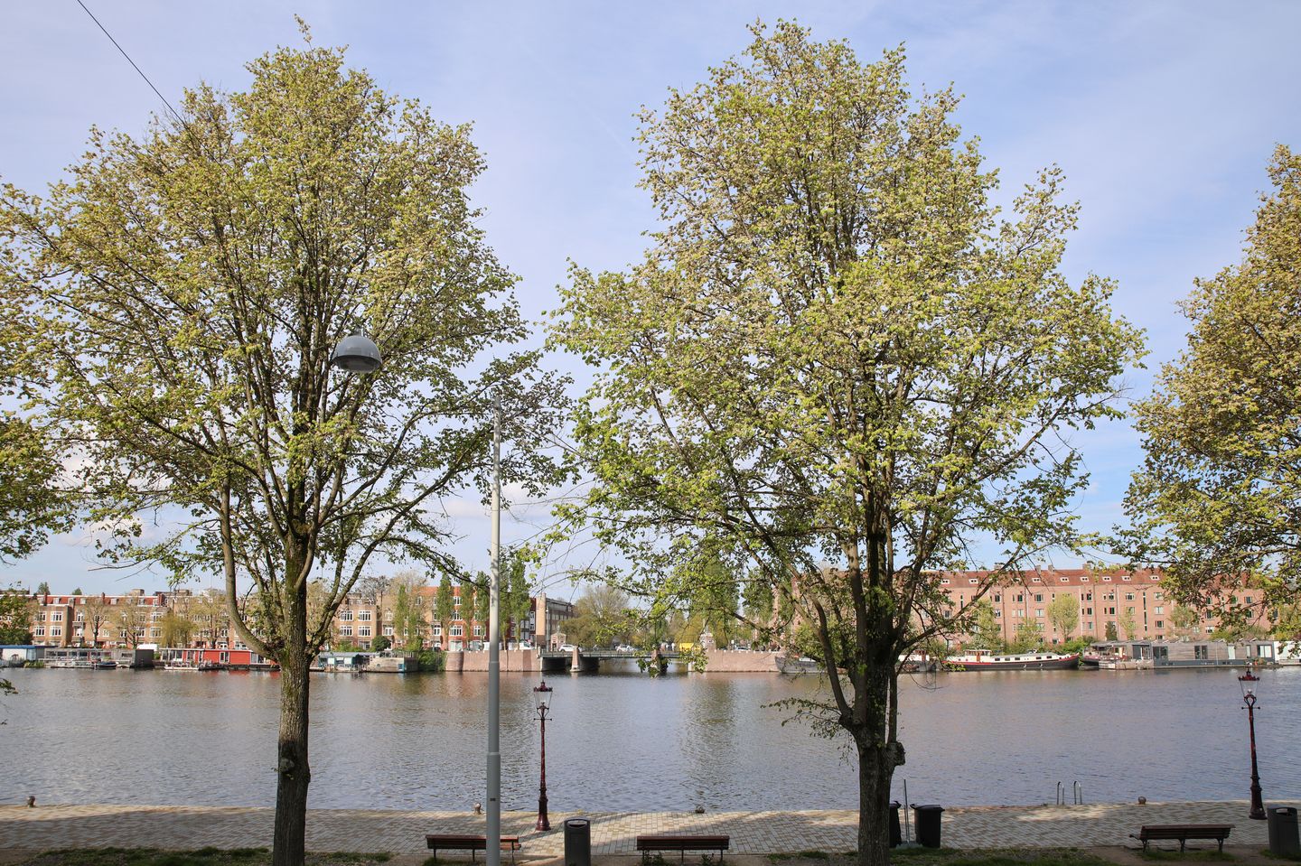 Photo 17 of Weesper No. 122