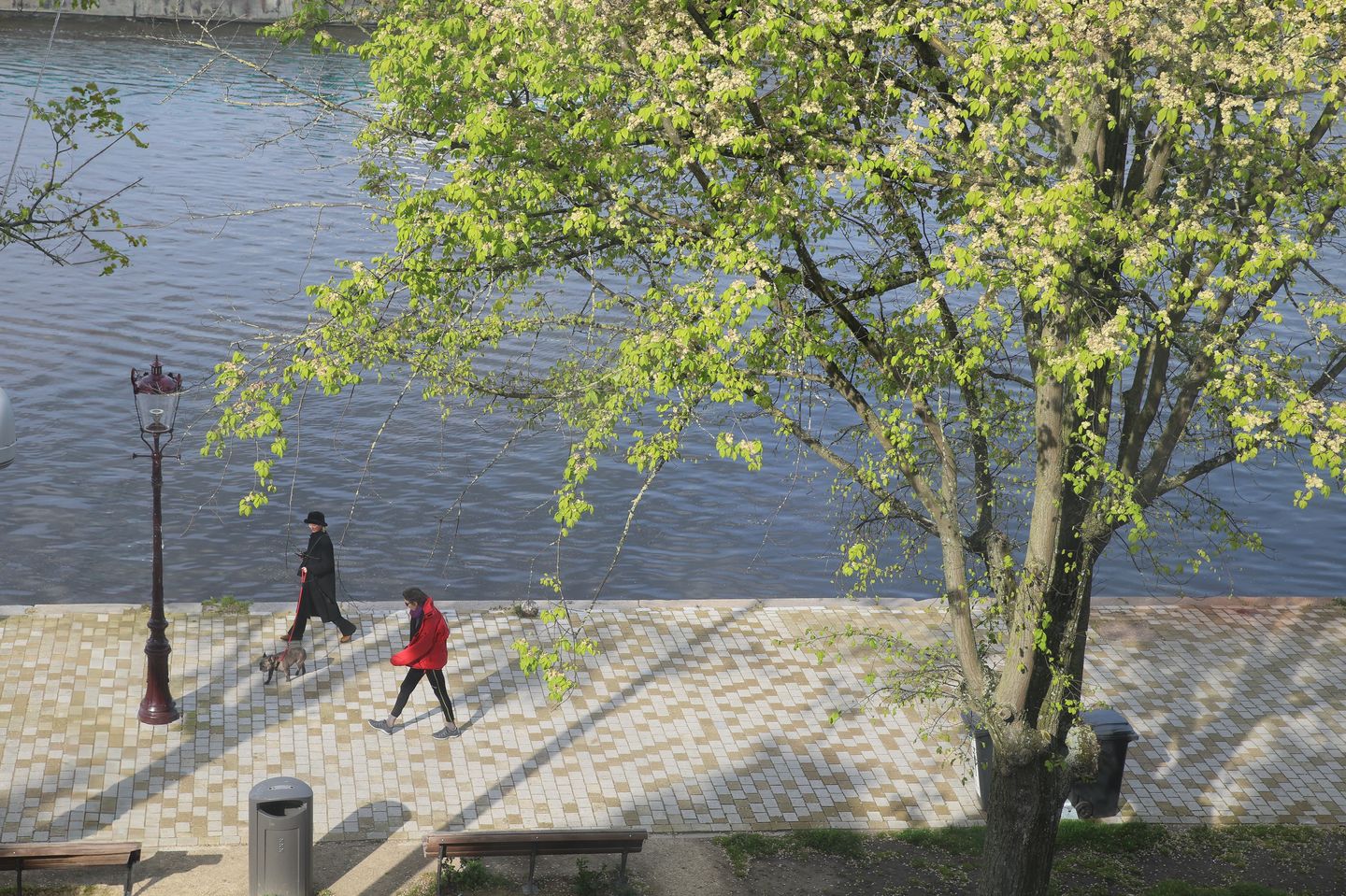 Photo 19 of Weesper No. 122