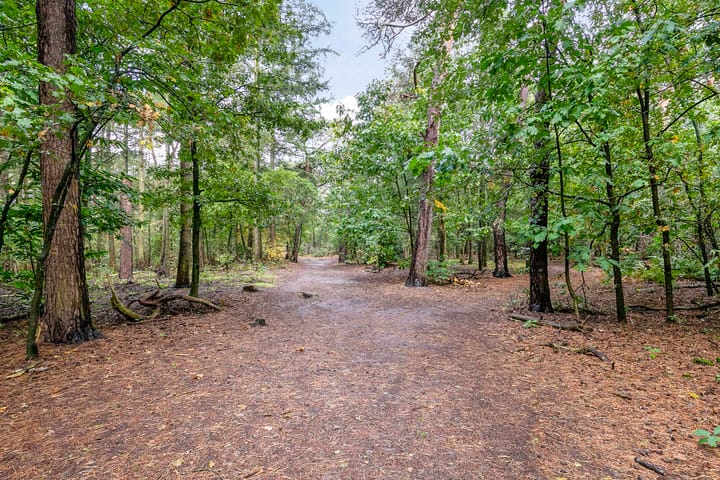 Foto 41 van Sparrerode 10