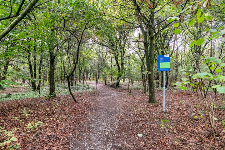 Foto 42 van Sparrerode 10