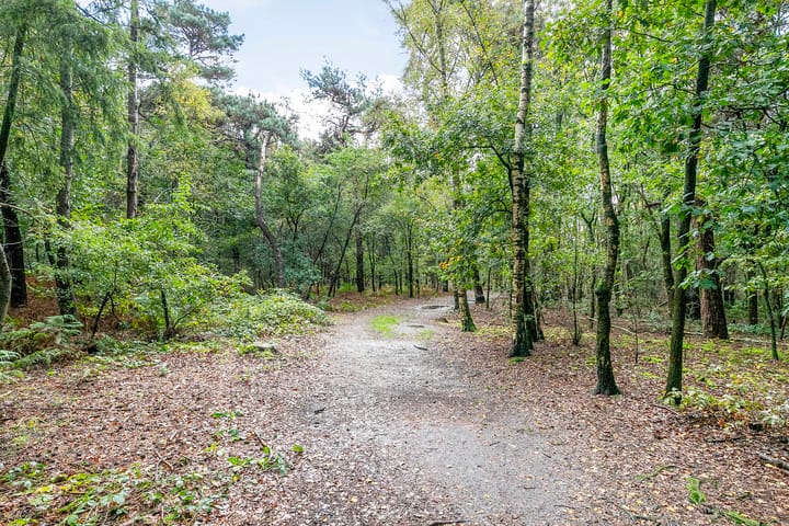 Foto 44 van Sparrerode 10