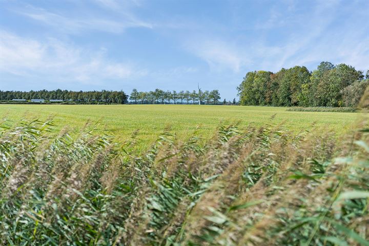 Bekijk foto 56 van Graldasingel 31