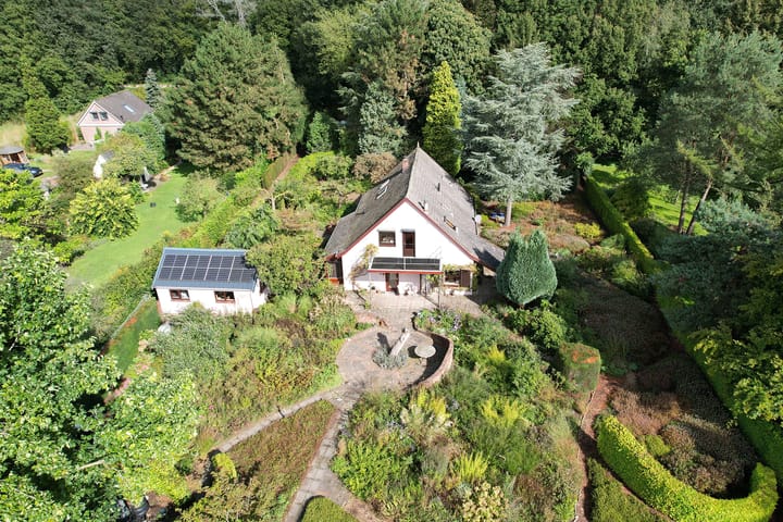 undefined main image