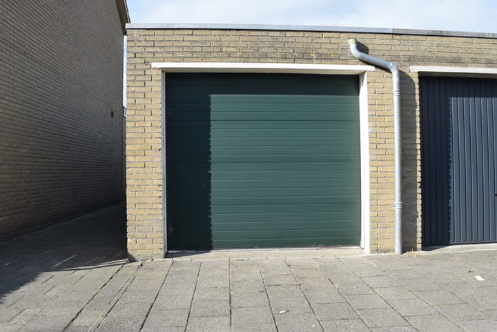 Foto 3 van Grote Beer 34