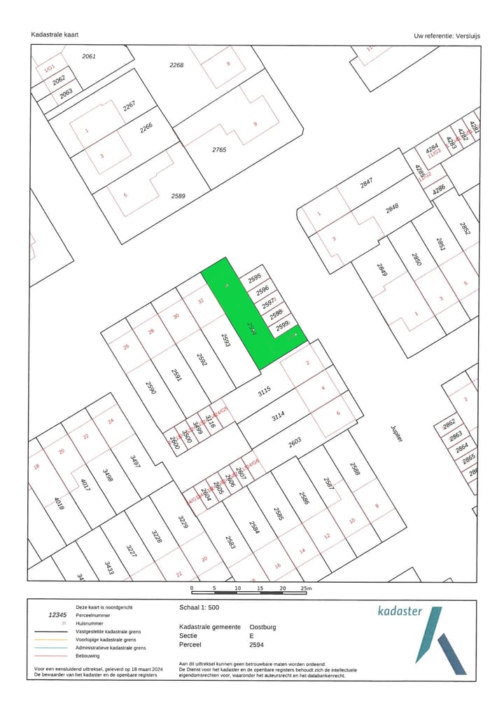 Foto 42 van Grote Beer 34