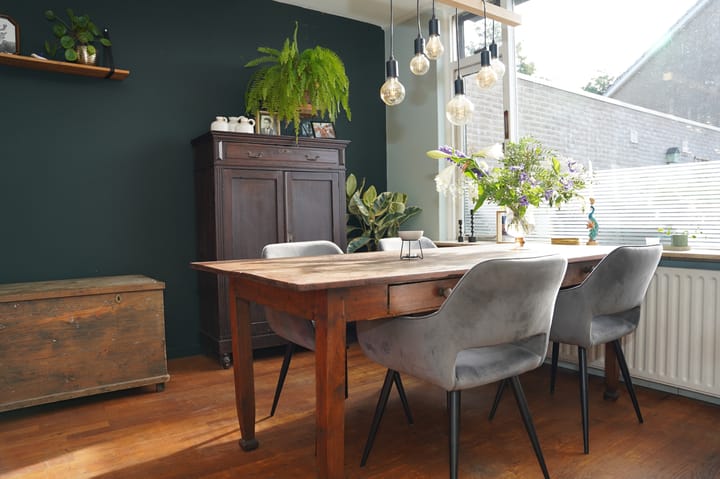 Foto 8 van Grote Beer 34