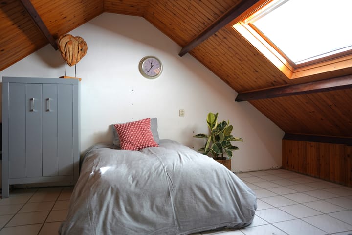 Foto 24 van Grote Beer 34