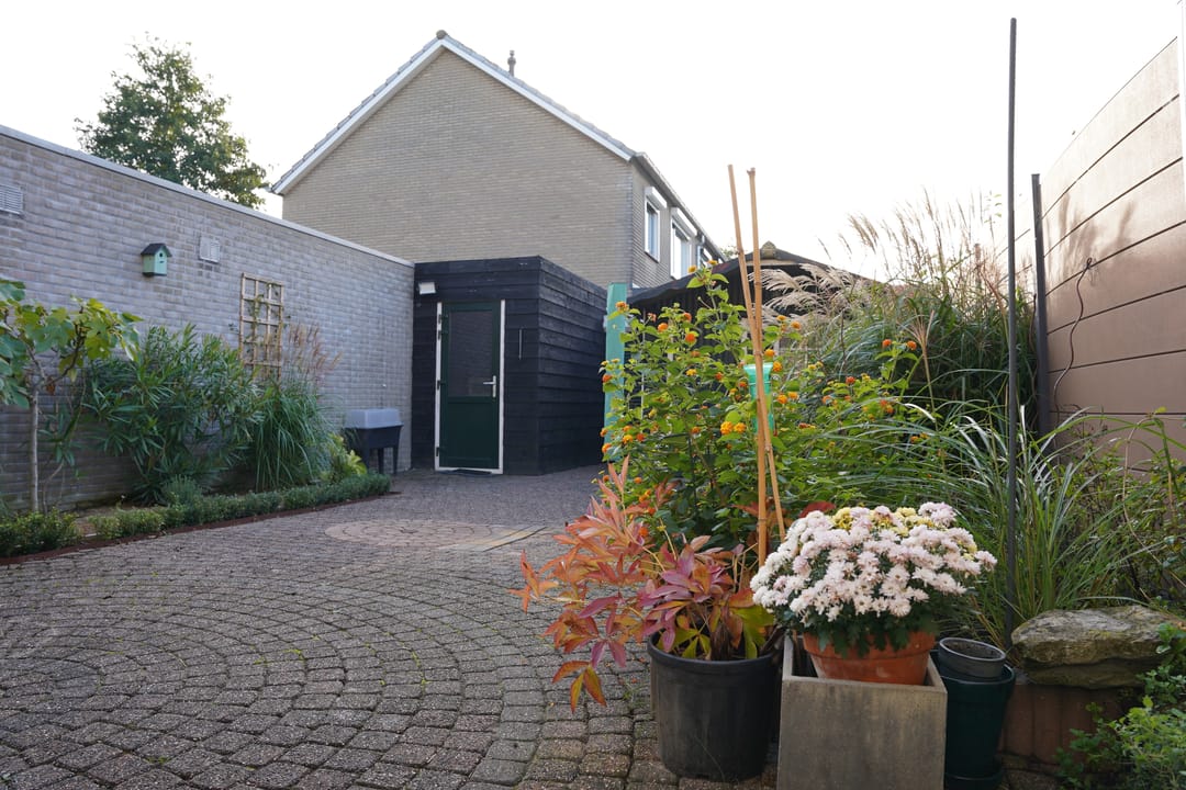 Foto 28 van Grote Beer 34