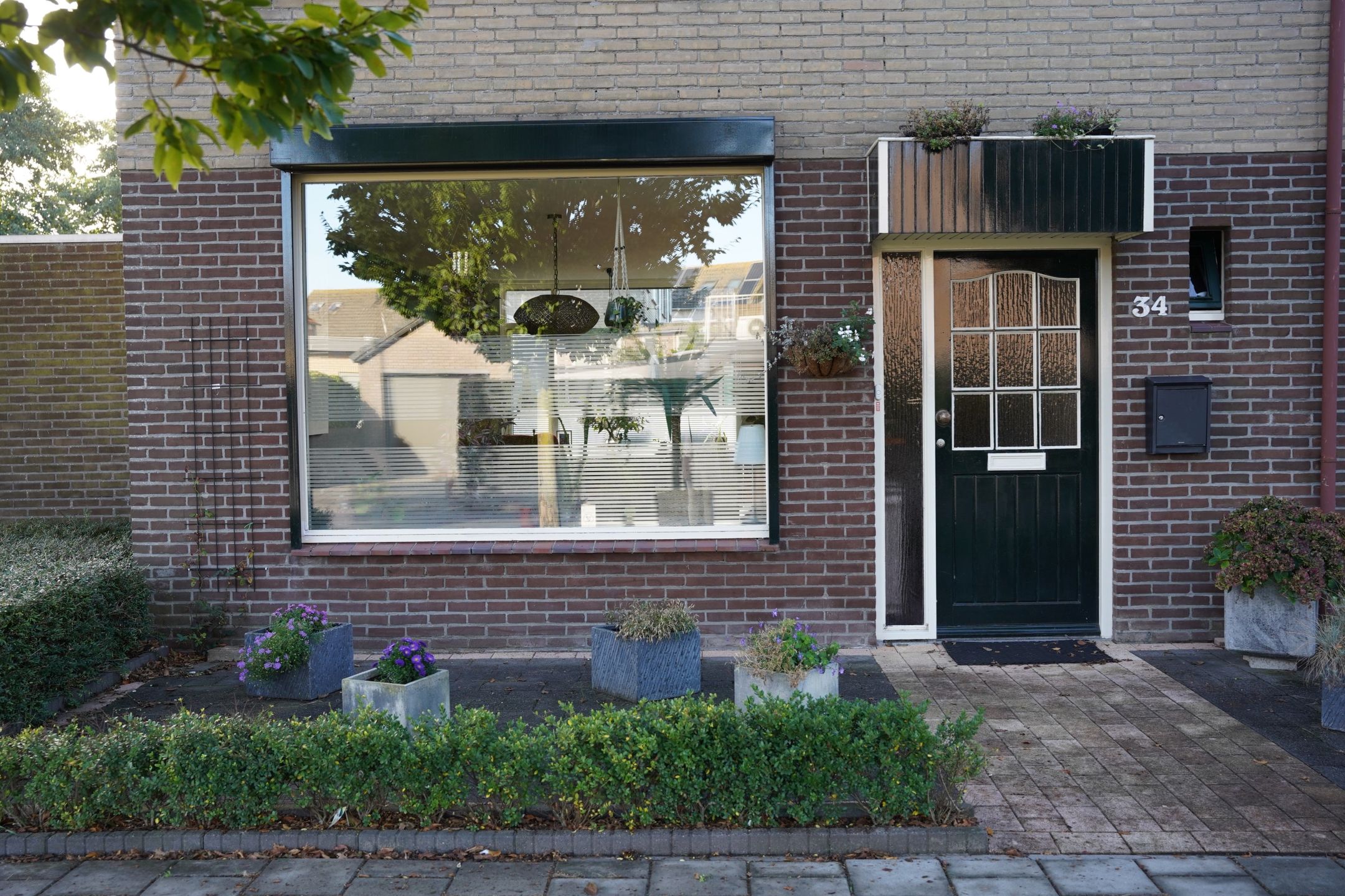 Foto 33 van Grote Beer 34