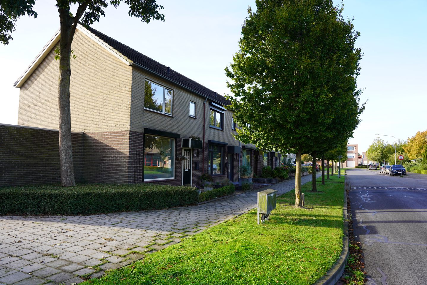 Foto 35 van Grote Beer 34