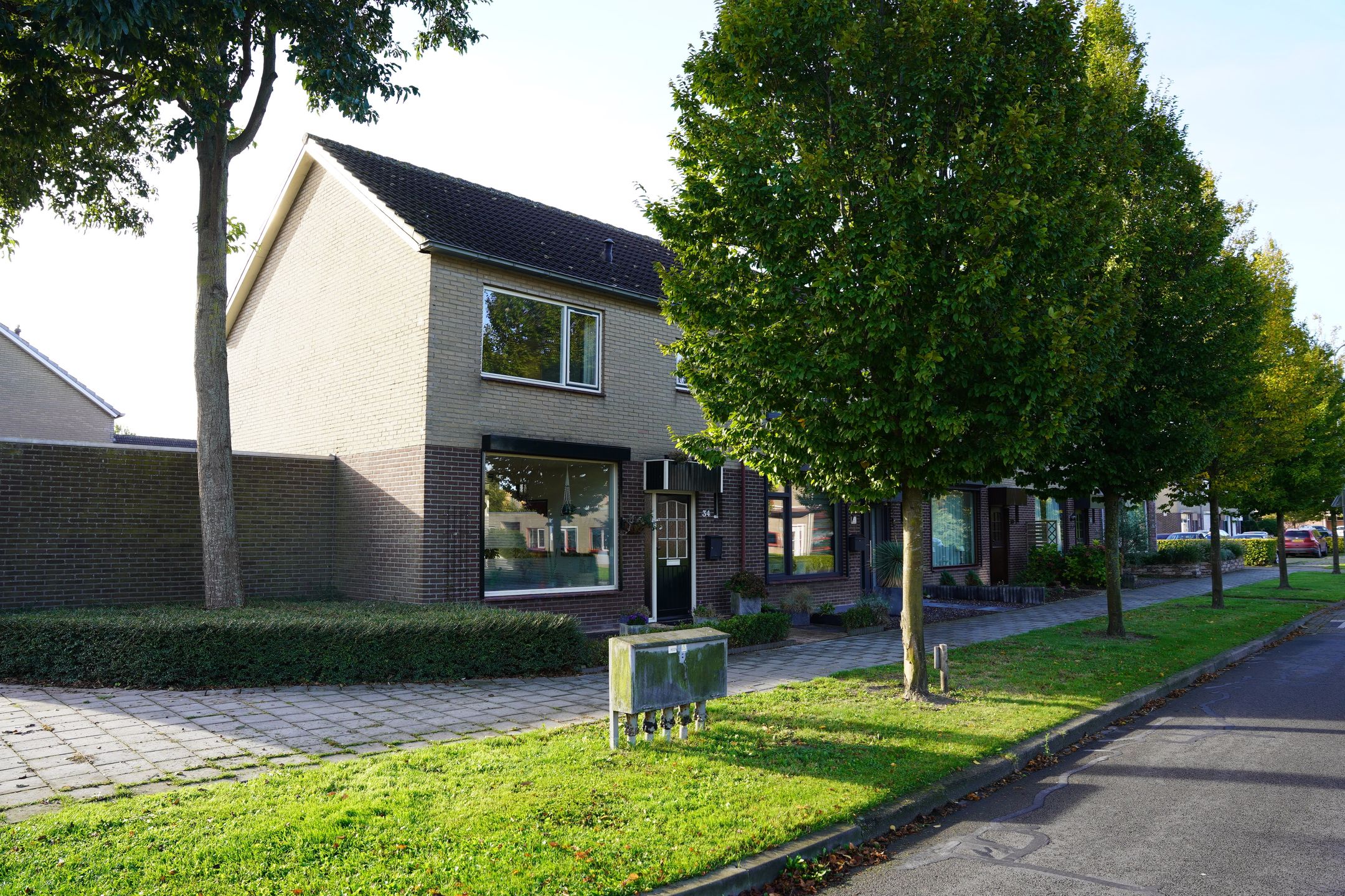 Foto 36 van Grote Beer 34