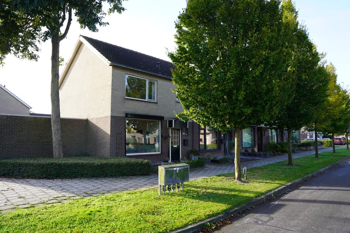 Foto 36 van Grote Beer 34