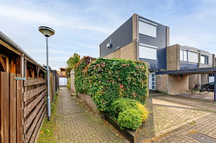 Foto 65 van Pijnenburg 58