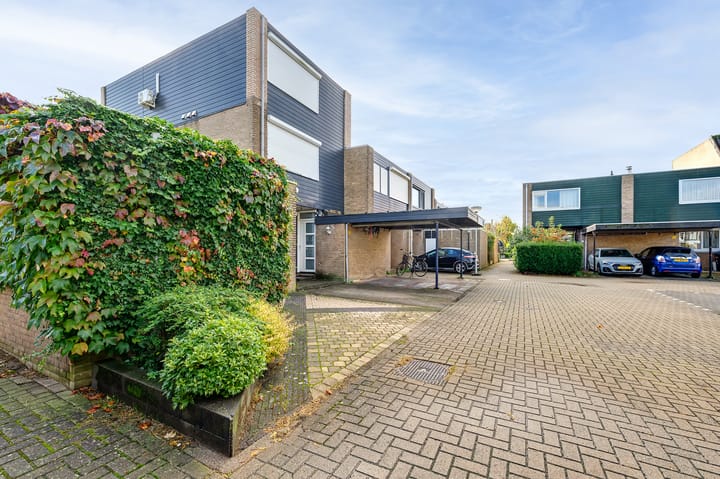 Foto 68 van Pijnenburg 58