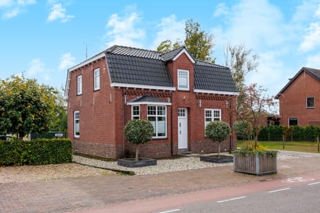 undefined main image