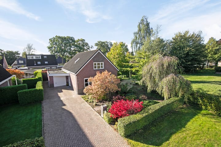 Foto 1 van Leo Steenhuisoord 1