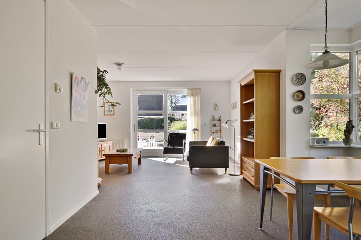 Foto 6 van Leo Steenhuisoord 1