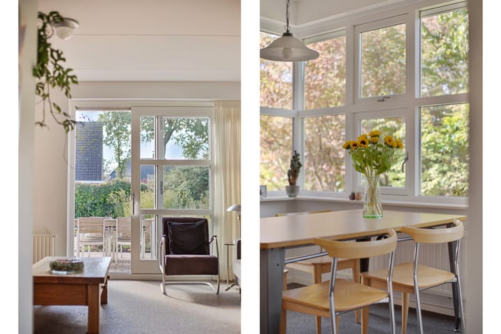 Foto 7 van Leo Steenhuisoord 1