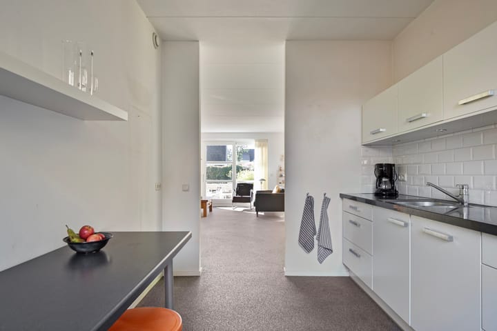 Foto 10 van Leo Steenhuisoord 1