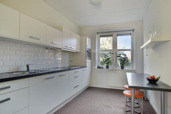 Foto 9 van Leo Steenhuisoord 1