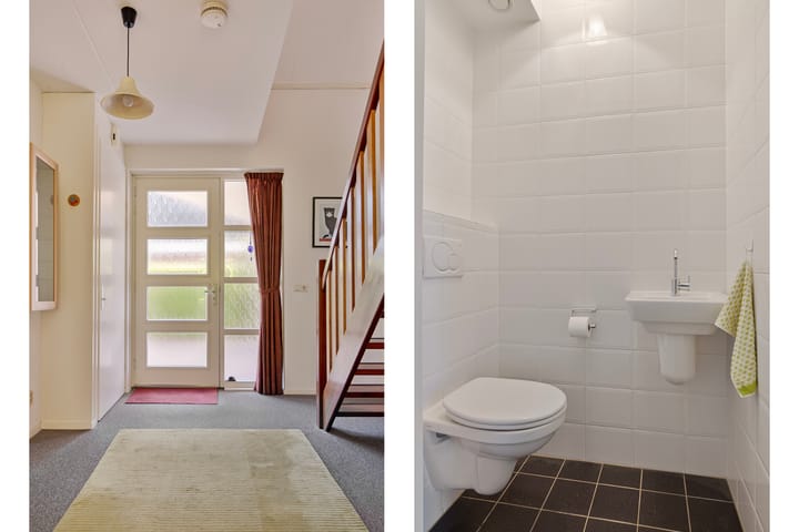 Foto 12 van Leo Steenhuisoord 1