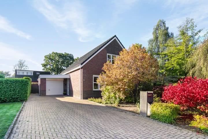 Foto 32 van Leo Steenhuisoord 1