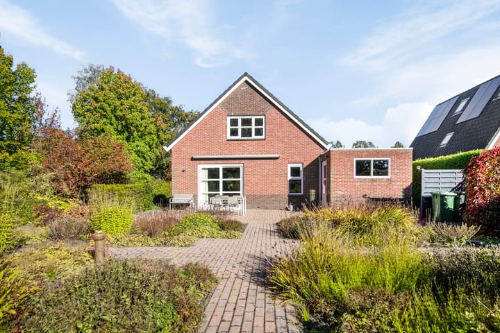 Foto 35 van Leo Steenhuisoord 1