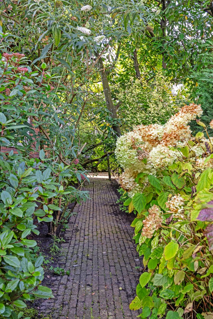 Foto 83 van Zegtruststraat 1