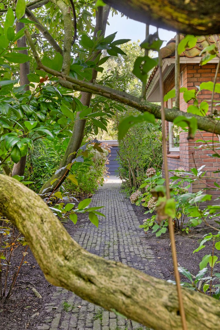 Foto 85 van Zegtruststraat 1