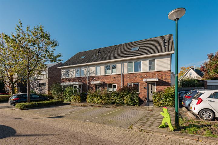 Bekijk foto 33 van Meester Pluimhof 15-C