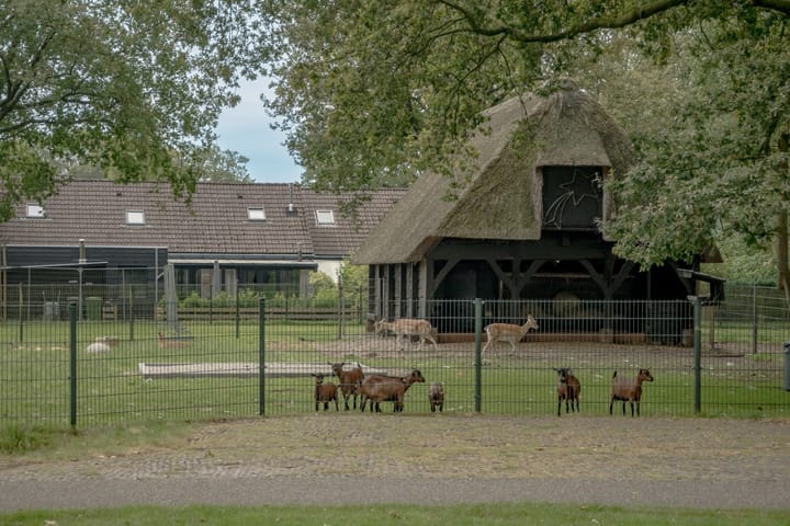 Foto 6 van Vledderweg 10