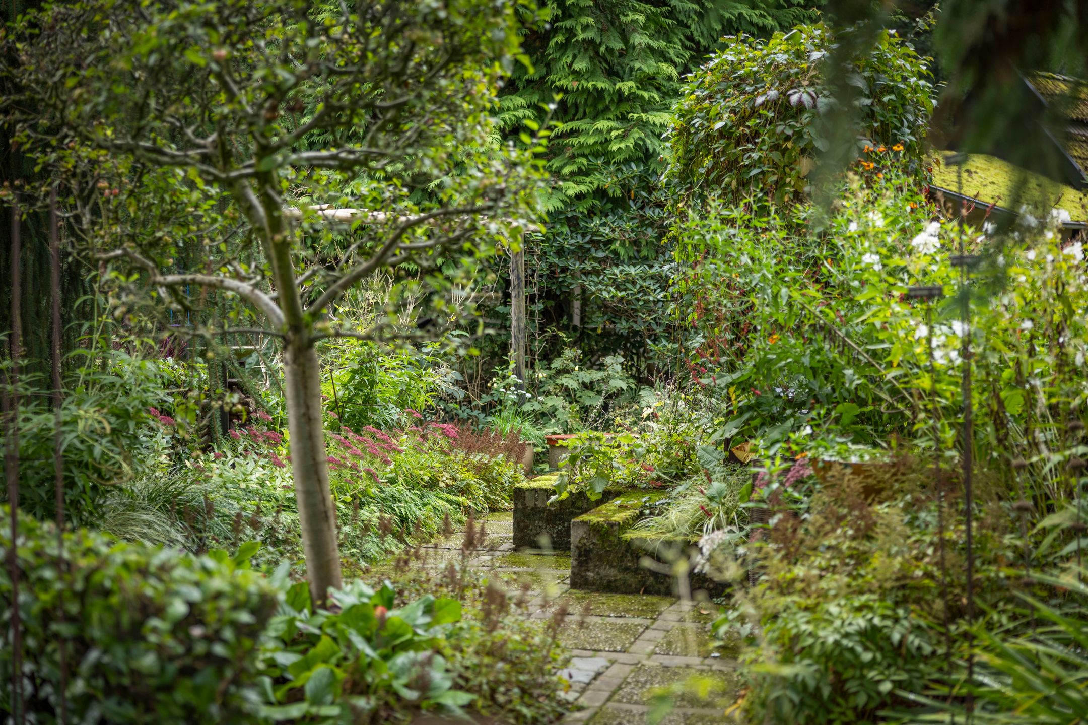 Photo 9 of Klarenbeekseweg 5