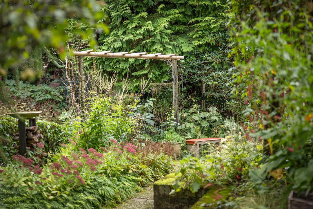 Photo 8 of Klarenbeekseweg 5