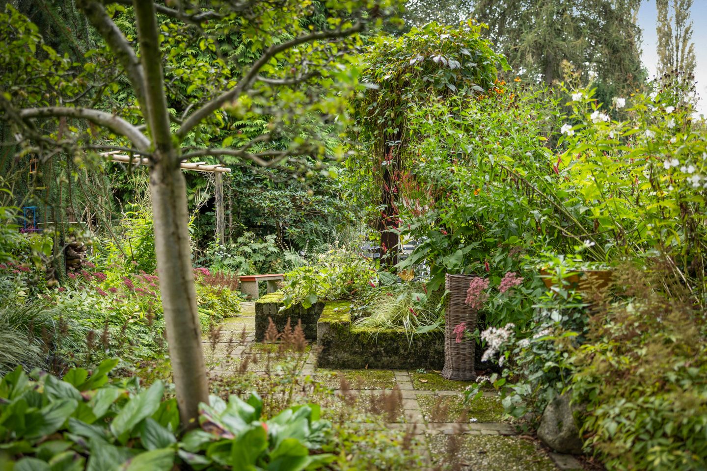 Photo 49 of Klarenbeekseweg 5