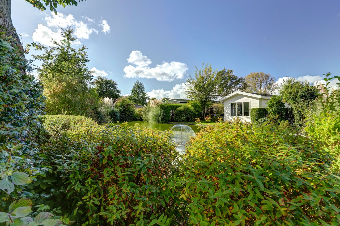 Foto 19 van Molengroet 1-664