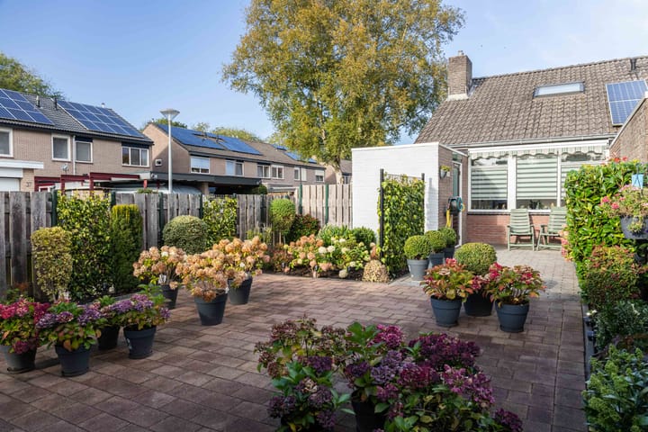 Foto 6 van Rozenstraat 29