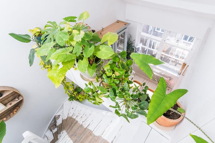 Foto 25 van Tuinstraat 177-3